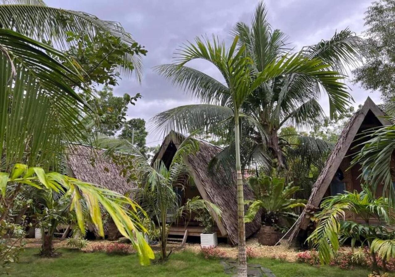 Bohol Island Homestay Dauis ภายนอก รูปภาพ