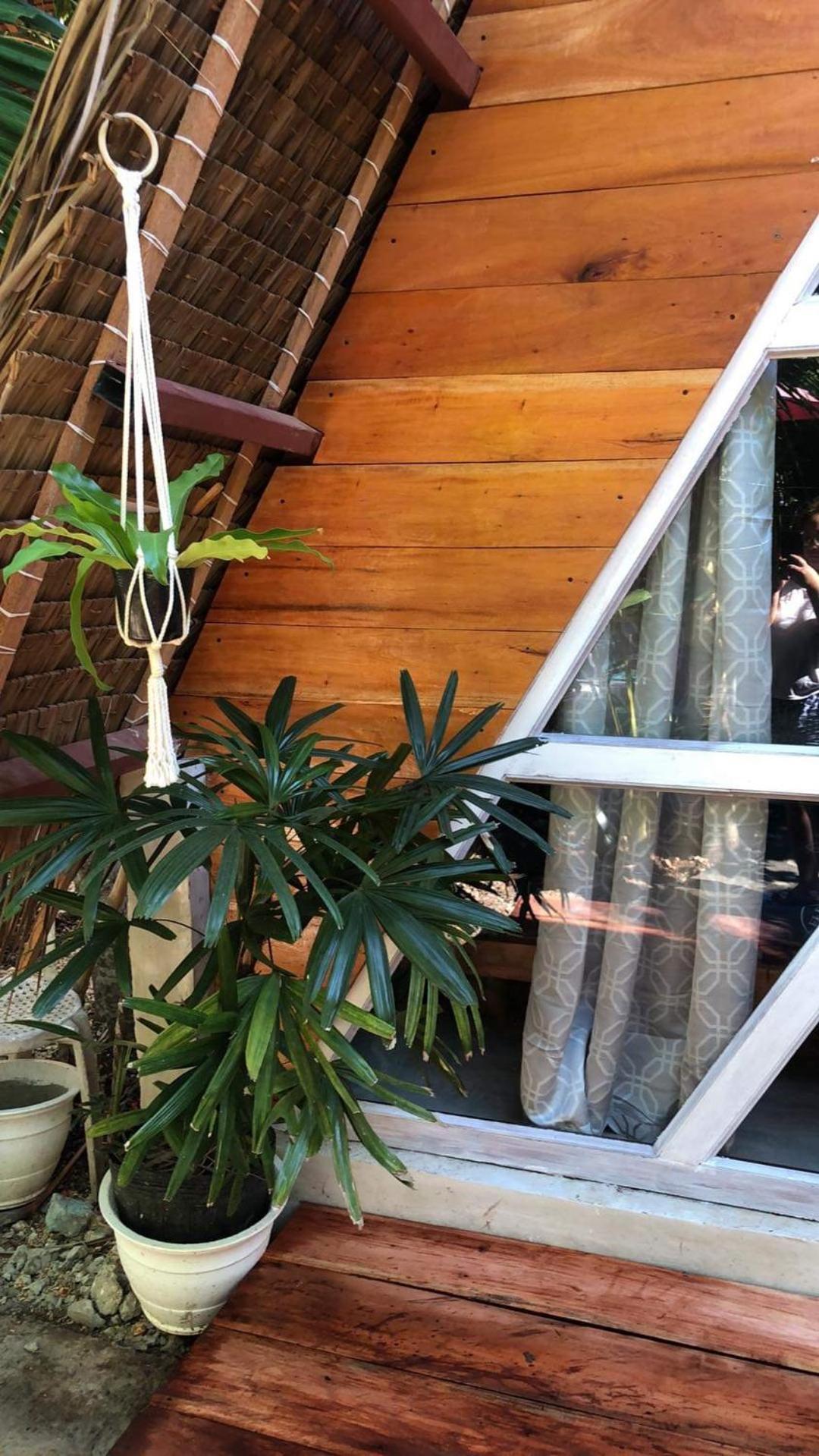Bohol Island Homestay Dauis ภายนอก รูปภาพ
