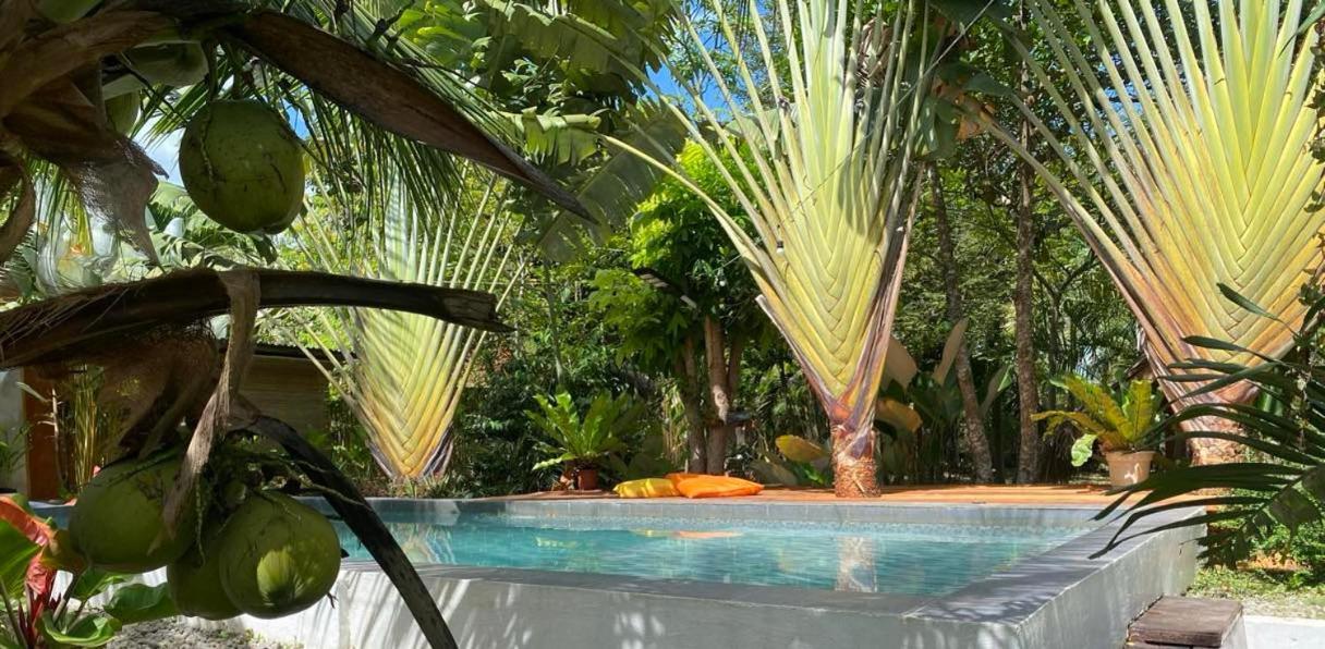 Bohol Island Homestay Dauis ภายนอก รูปภาพ