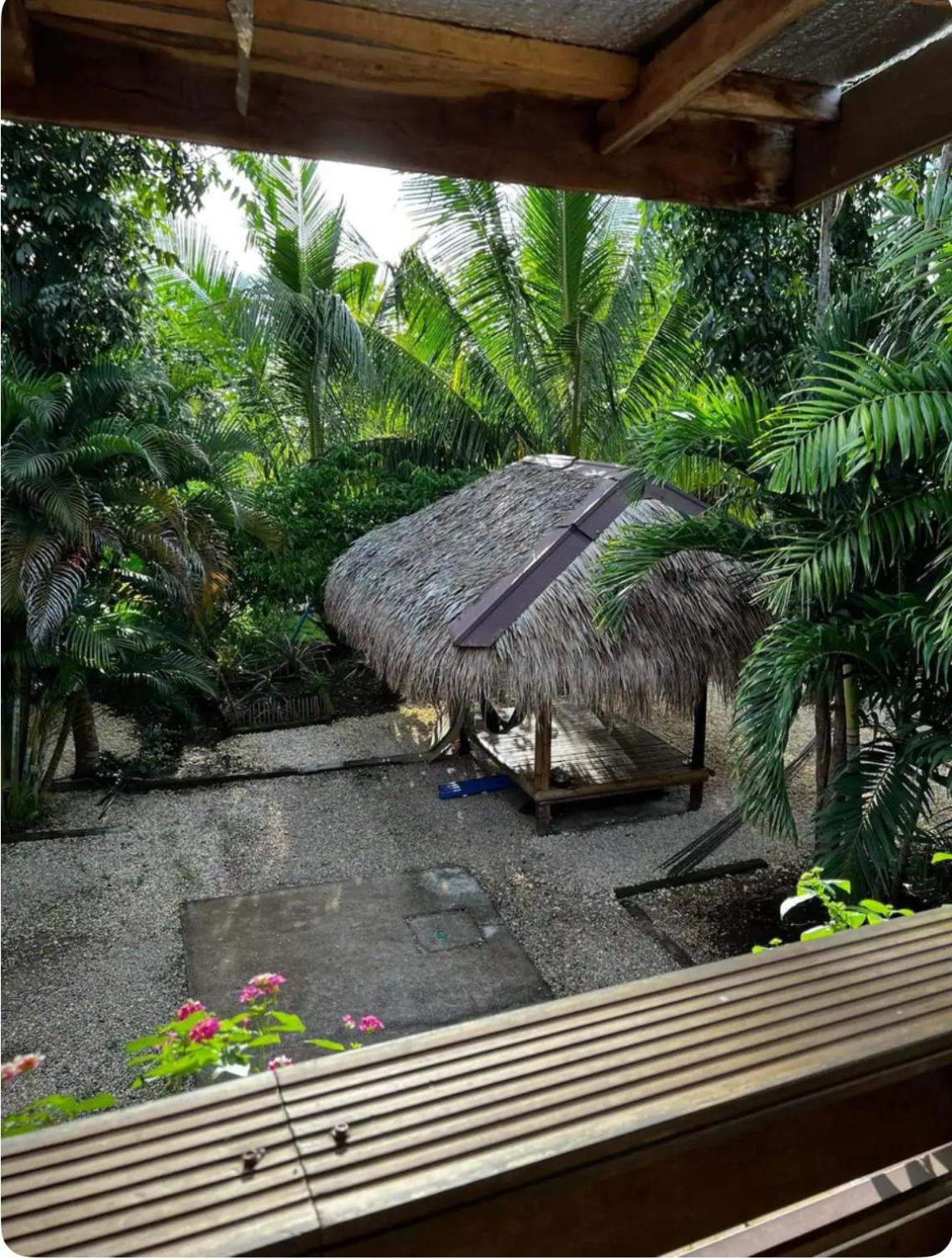 Bohol Island Homestay Dauis ภายนอก รูปภาพ