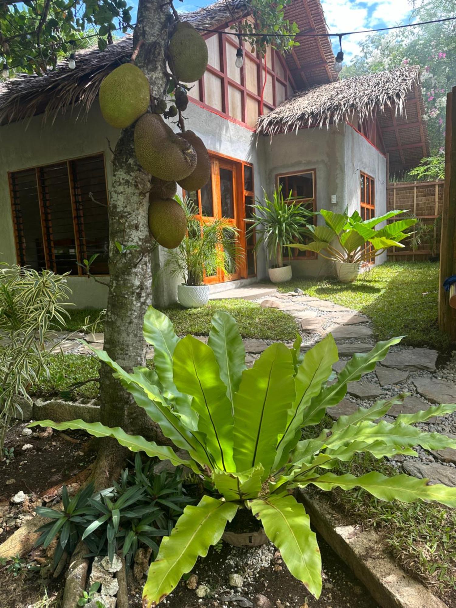 Bohol Island Homestay Dauis ภายนอก รูปภาพ